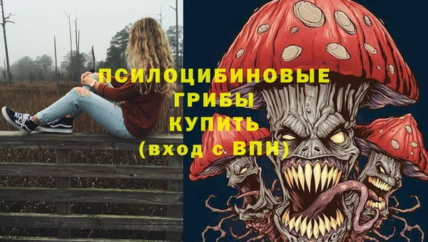 соль курить ск Арсеньев