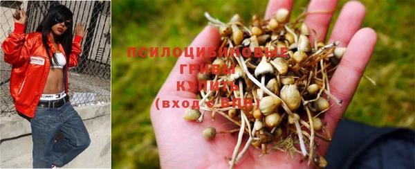 соль курить ск Армянск